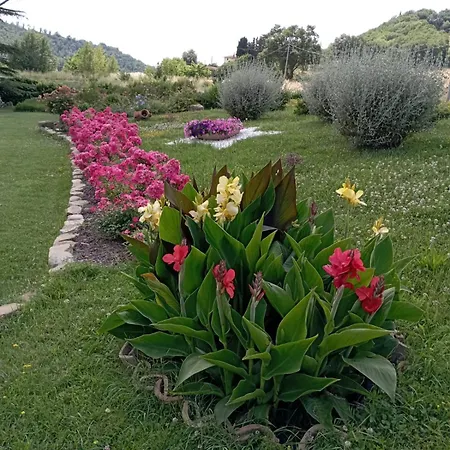 Il Conte Holiday home