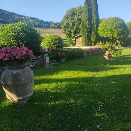Il Conte * Valfabbrica